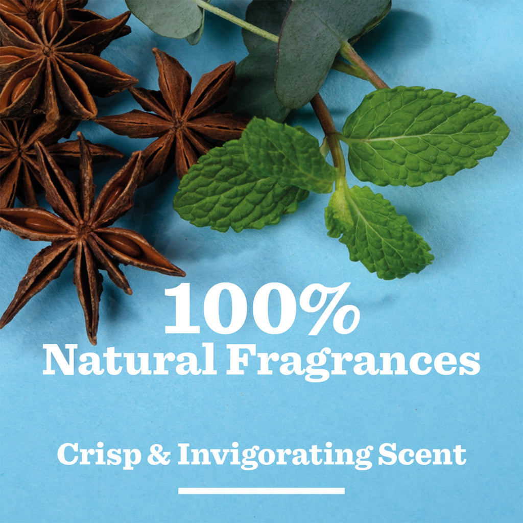 Star anise, green mint leaves, and eucalyptus on a blue background with “100% Natural Fragrances” and “Crisp & Invigorating Scent”—perfect for the Peppermint & Eucalyptus Body Care Duo or as a thoughtful gift for men.